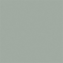 DTM Alkyd Silver Gray